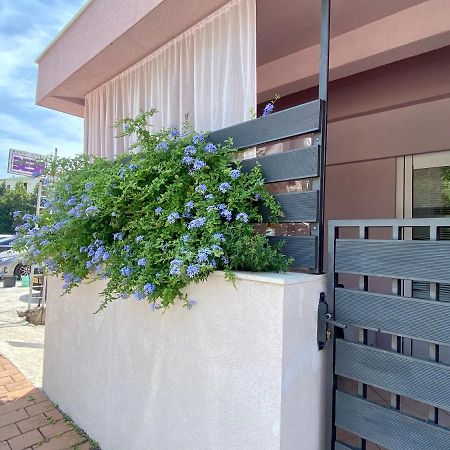 Apartman Toni Lägenhet Makarska Exteriör bild